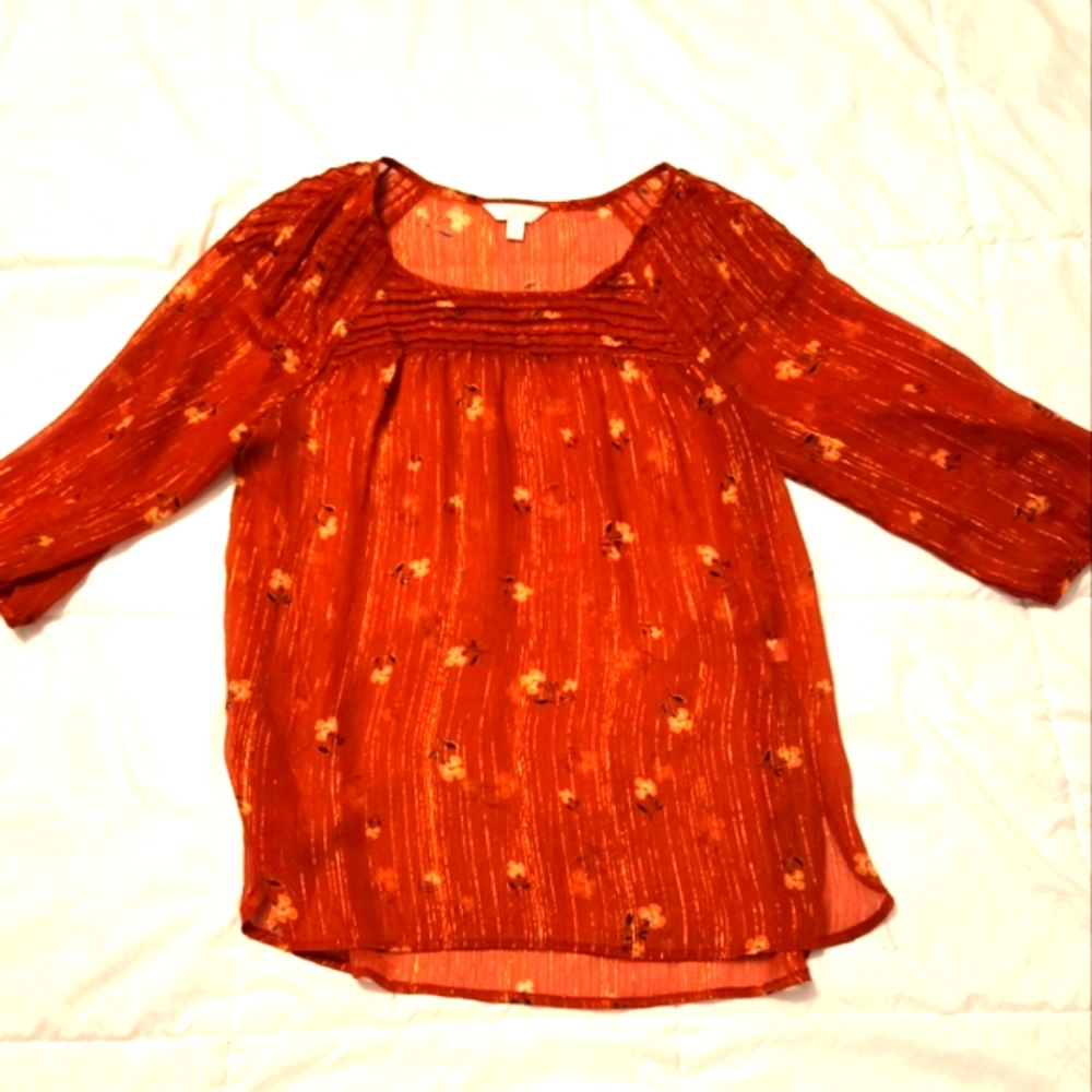 Sheer rust and brown blouse with extra gold threads throughout.